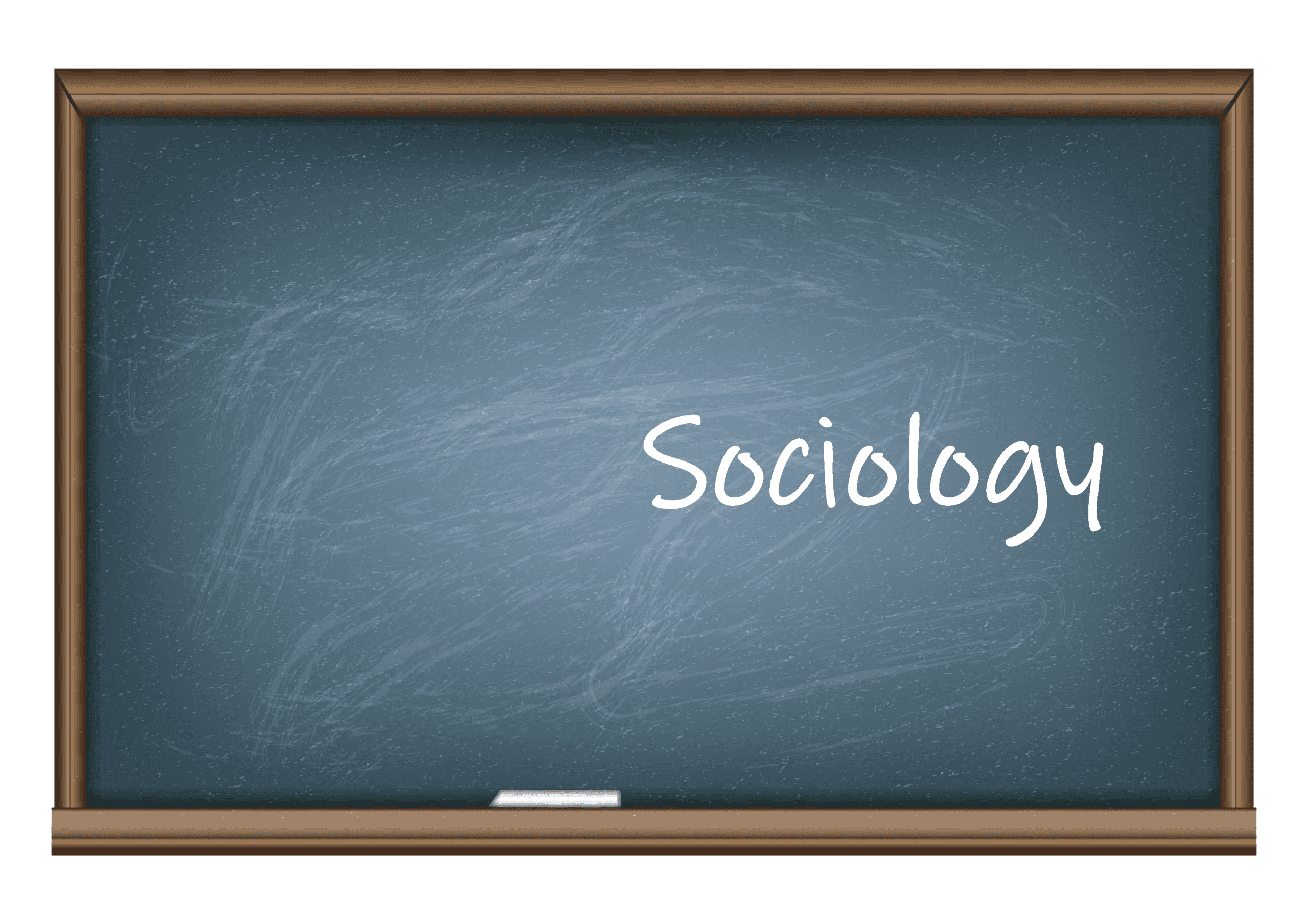 What Can Sociology Jobs Can You Do with a Bachelor’s Degree?