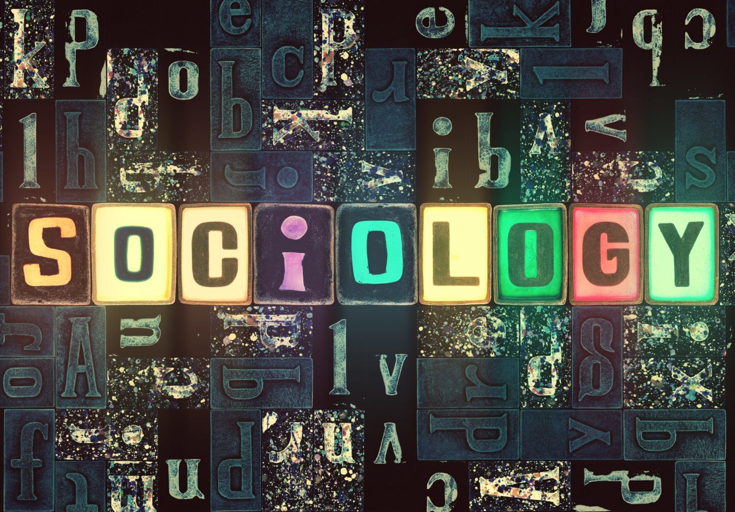What Are Sociology Career Options?